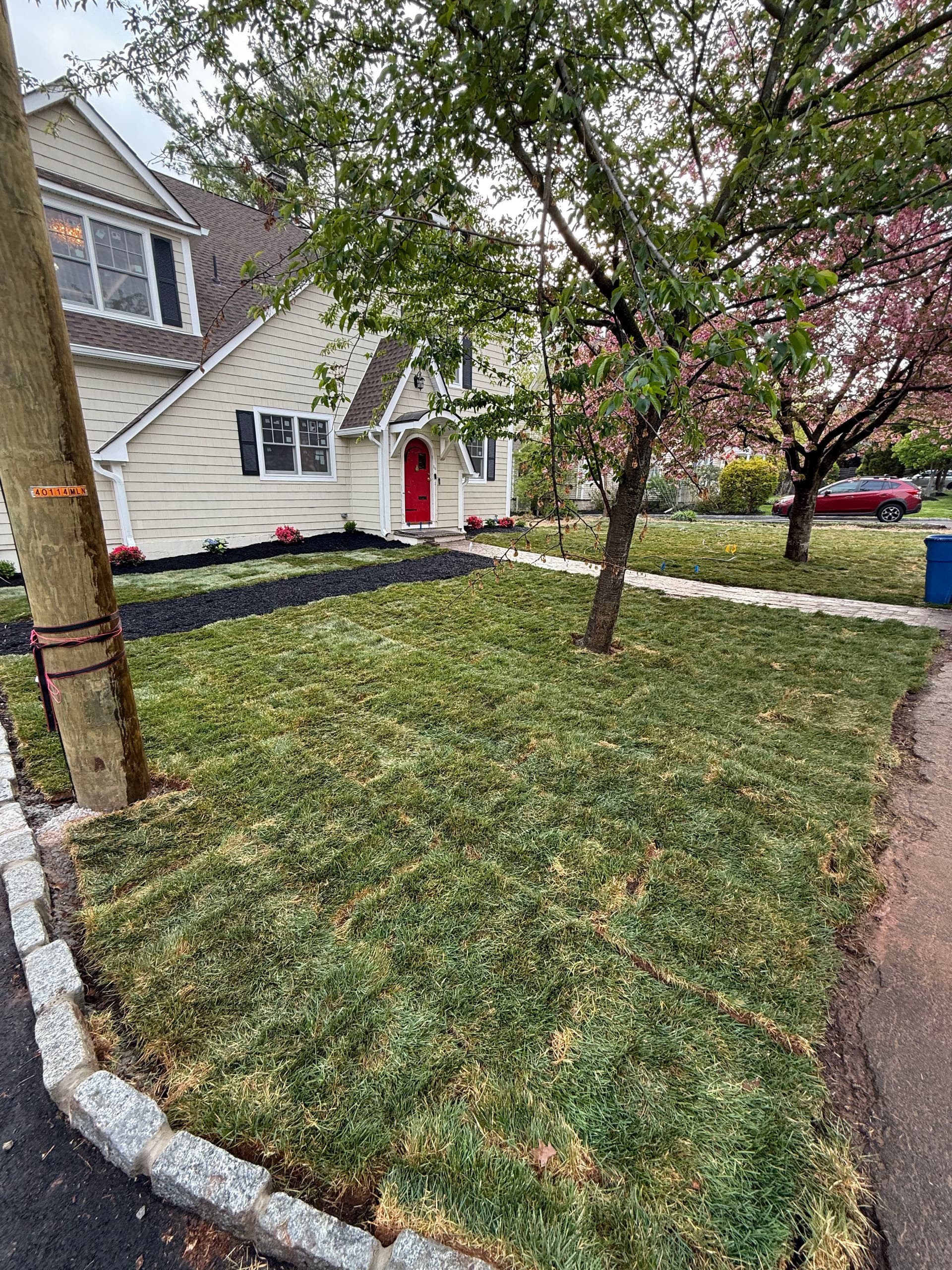 Full Front Yard Grass Renovation with Sod and Topsoil