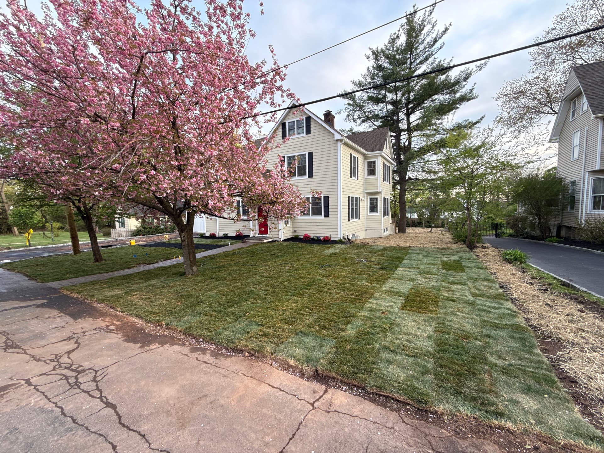 Full Front Yard Grass Renovation with Sod and Topsoil