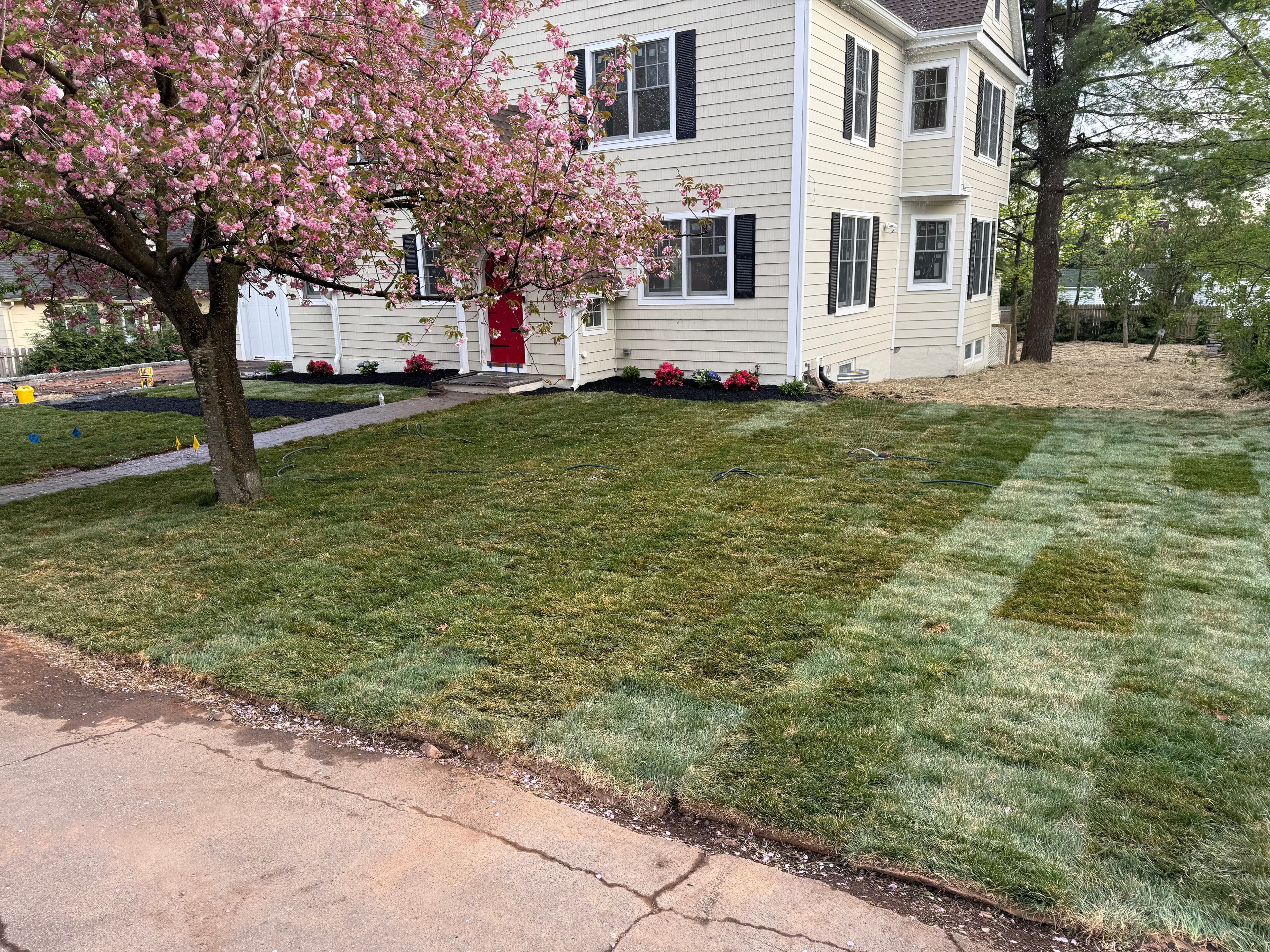 Project Full Front Yard Grass Renovation with Sod and Topsoil image