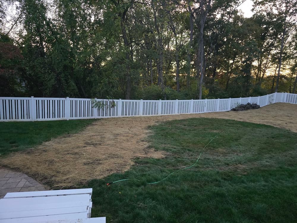 Lawn renovation with straw covering and white fence in a landscaped yard at sunset.