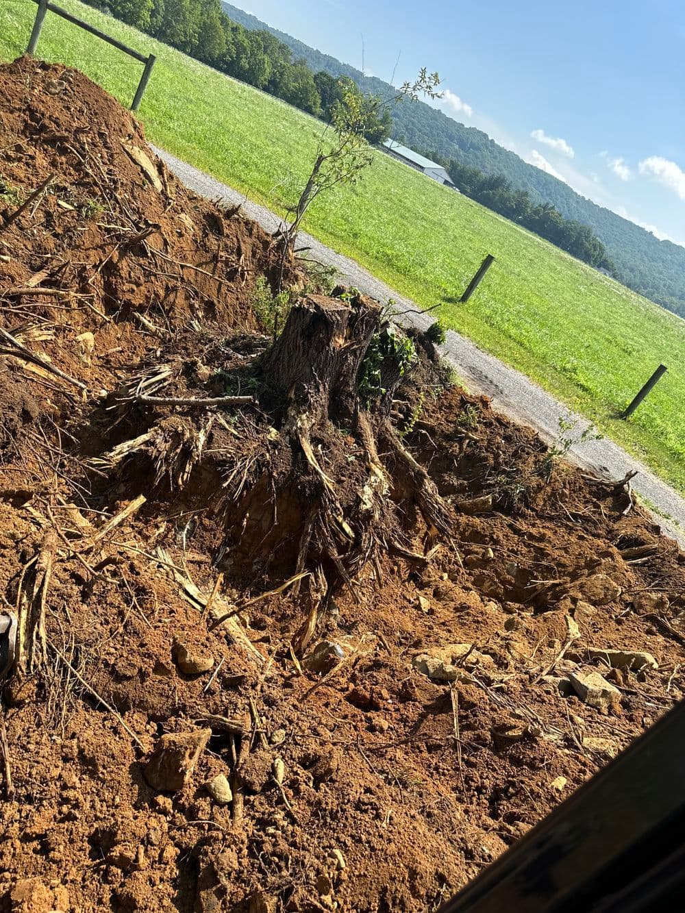 Tree stump removed from ground with exposed roots in a rural landscape. Green fields in background.