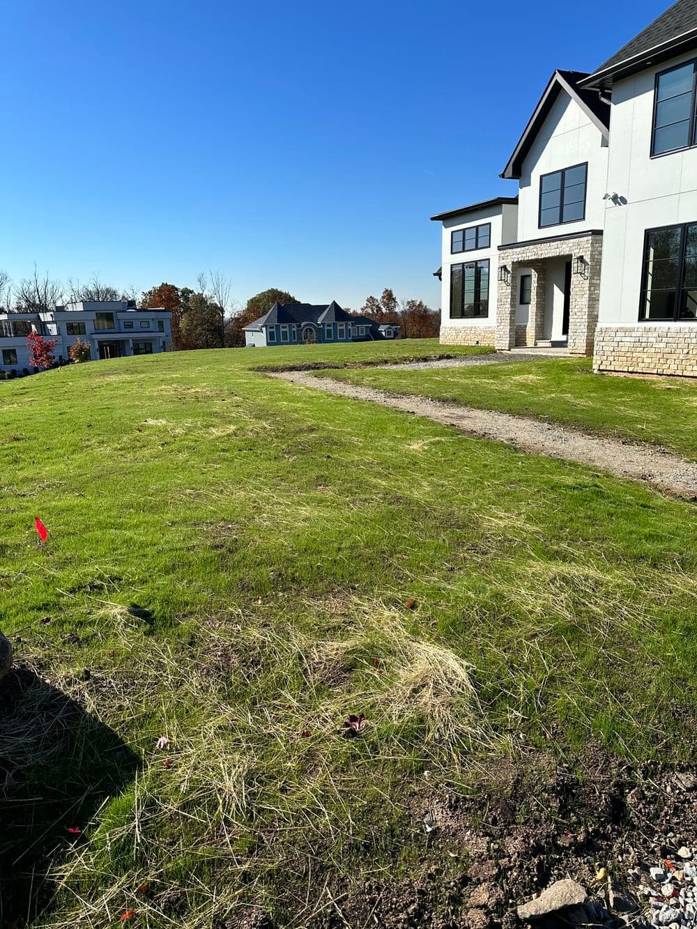 Newly landscaped yard with clear skies, framed by modern homes in the background.