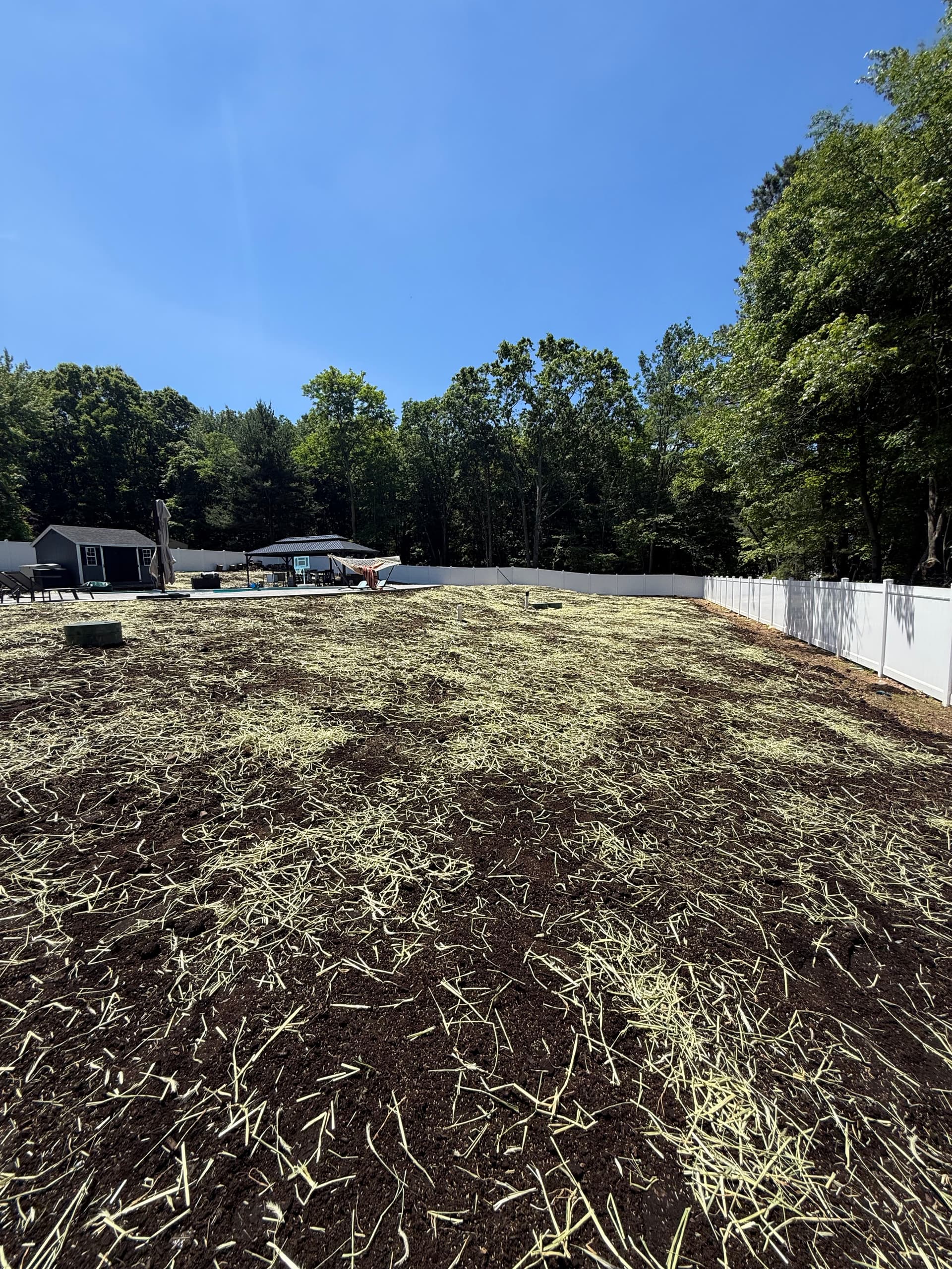 Gallery photos for Pool Deck Paver Extension and Full Backyard Lawn Restoration: Image #1
