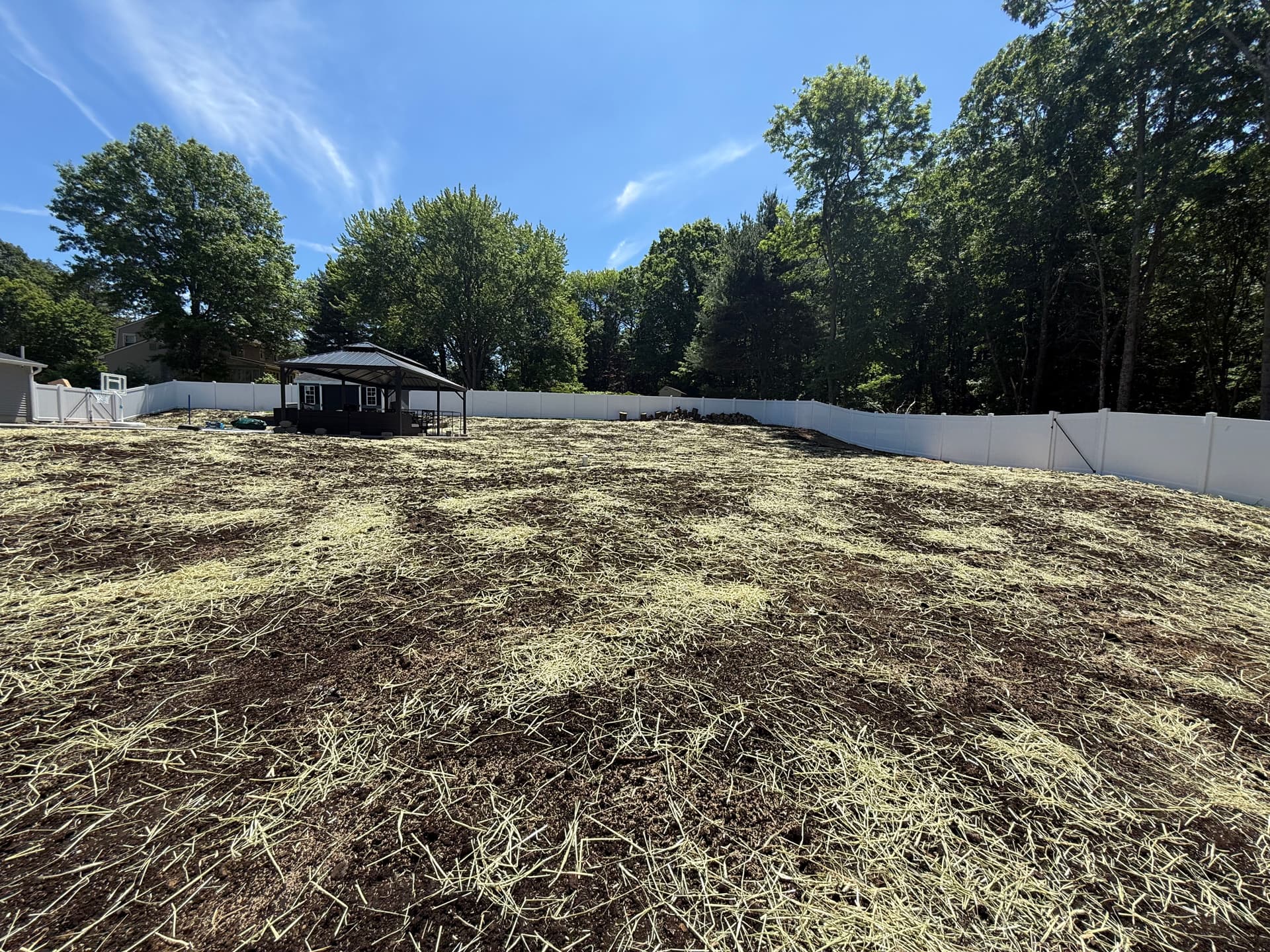 Pool Deck Paver Extension and Full Backyard Lawn Restoration image